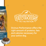 Divinus Performance Dog Dry Food 20Kg