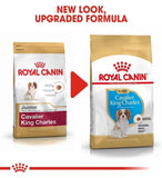 Royal Canin Cavalier King Charles Puppy Dry Food 1.5Kg