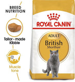 Royal Canin Adult British Shorthair Cat Dry Food