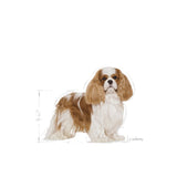 Royal Canin Cavalier King Charles Adult Dog Dry Food 1.5Kg