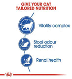 Royal Canin Nutrition Home Life Indoor 7+ Cat Food