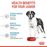 Royal Canin Giant Junior Dog Dry Food 15Kg