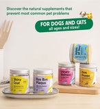 Wild Balance Bye Bye Plaque Supplement For Dogs & Cats