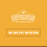 Divinus Kitten Rich in Chicken Flavor, Dry Food Bag 2kg